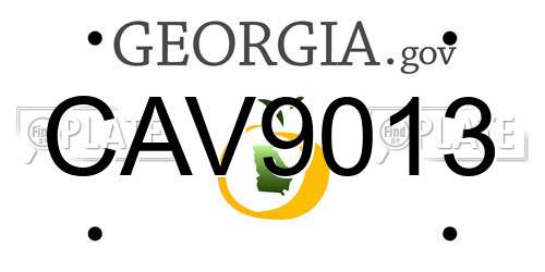 CAV9013 Georgia License Plate