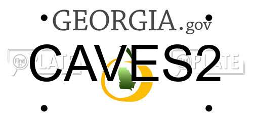 CAVES2 Georgia License Plate