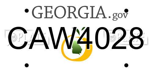 CAW4028 Georgia License Plate