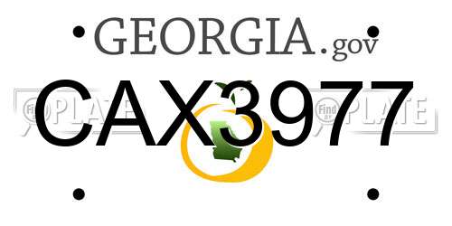 CAX3977 Georgia License Plate