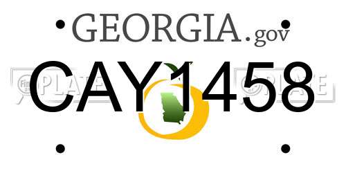 CAY1458 Georgia License Plate