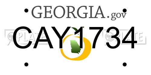 CAY1734 Georgia License Plate