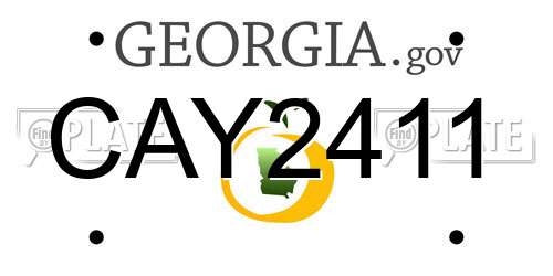 CAY2411 Georgia License Plate