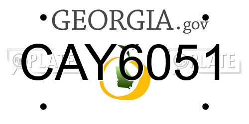 CAY6051 Georgia License Plate