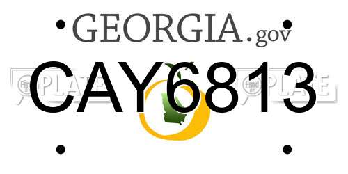 CAY6813 Georgia License Plate