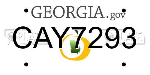 CAY7293 Georgia License Plate