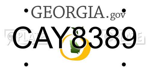 CAY8389 Georgia License Plate