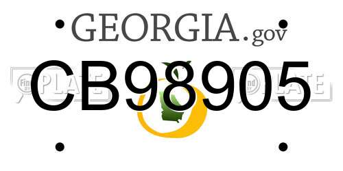 CB98905 Georgia License Plate