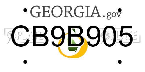 CB9B905 Georgia License Plate