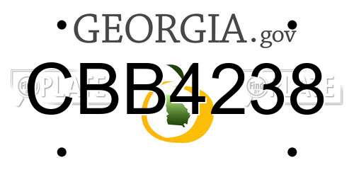 CBB4238 Georgia License Plate