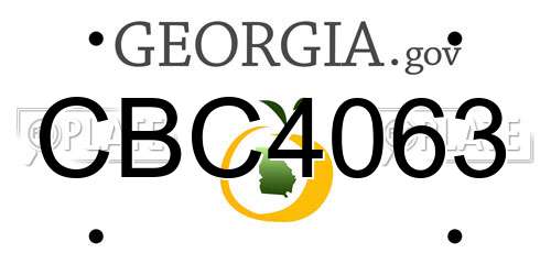 CBC4063 Georgia License Plate