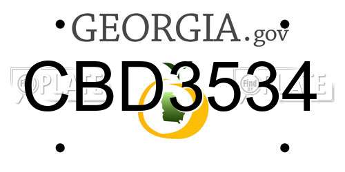 CBD3534 Georgia License Plate