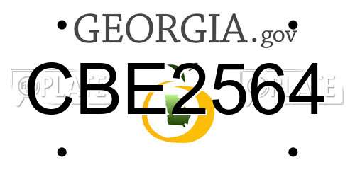 CBE2564 Georgia License Plate