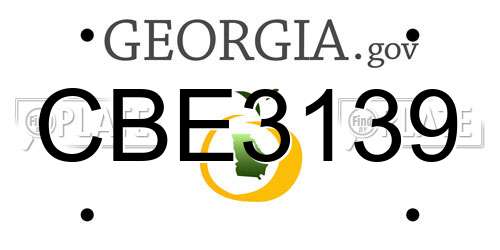 CBE3139 Georgia License Plate