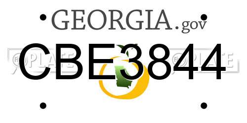 CBE3844 Georgia License Plate
