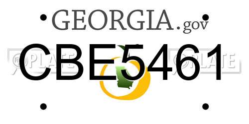 CBE5461 Georgia License Plate
