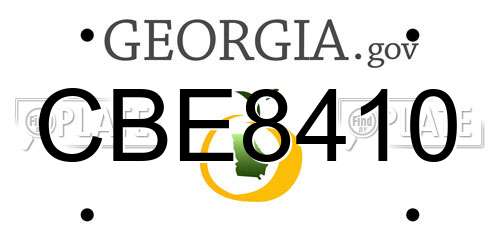 CBE8410 Georgia License Plate