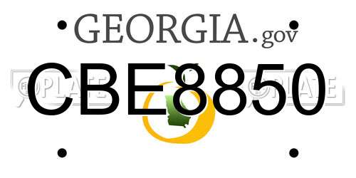 CBE8850 Georgia License Plate