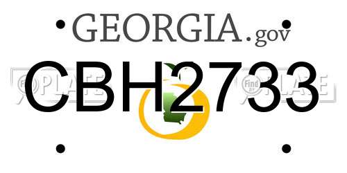 CBH2733 Georgia License Plate