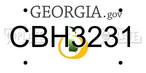 CBH3231 Georgia License Plate