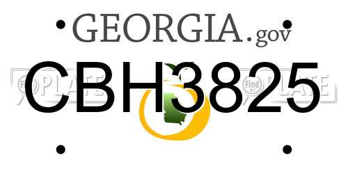 CBH3825 Georgia License Plate
