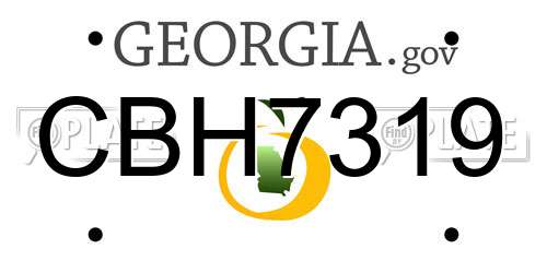 CBH7319 Georgia License Plate