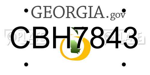 CBH7843 Georgia License Plate