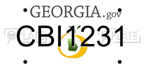 CBI1231 Georgia License Plate