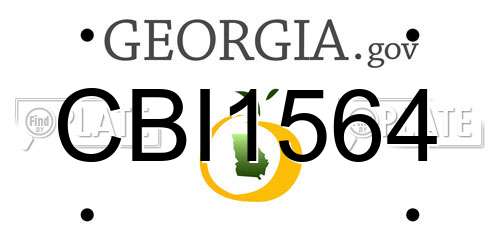 CBI1564 Georgia License Plate