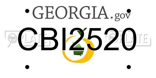 CBI2520 Georgia License Plate