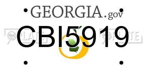 CBI5919 Georgia License Plate