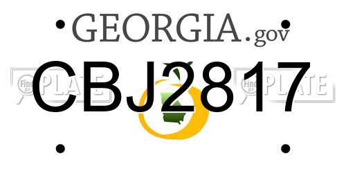 CBJ2817 Georgia License Plate