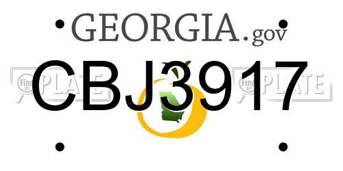 CBJ3917 Georgia License Plate