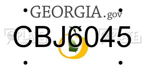 CBJ6045 Georgia License Plate