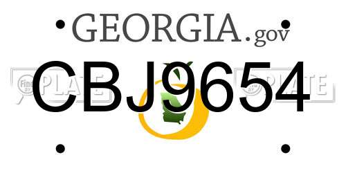 CBJ9654 Georgia License Plate