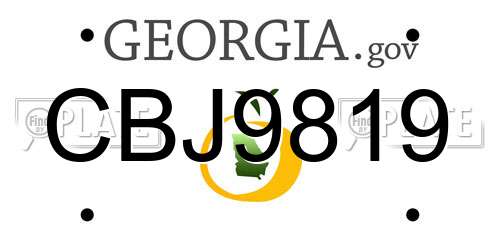 CBJ9819 Georgia License Plate