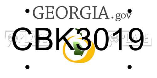 CBK3019 Georgia License Plate