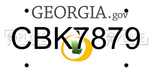 CBK7879 Georgia License Plate