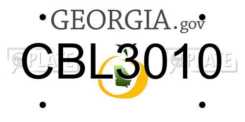 CBL3010 Georgia License Plate