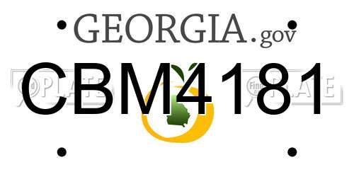 CBM4181 Georgia License Plate