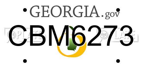 CBM6273 Georgia License Plate