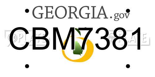 CBM7381 Georgia License Plate