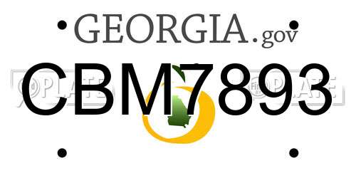 CBM7893 Georgia License Plate