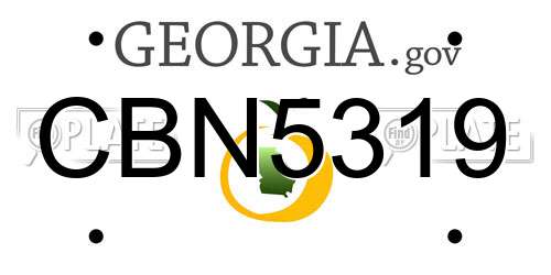 CBN5319 Georgia License Plate