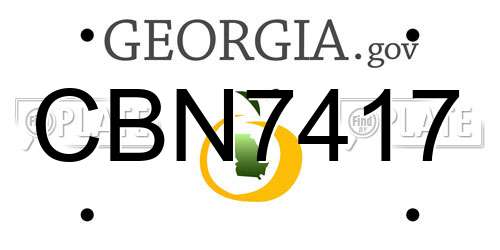 CBN7417 Georgia License Plate