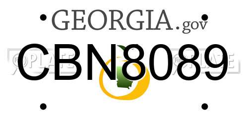 CBN8089 Georgia License Plate