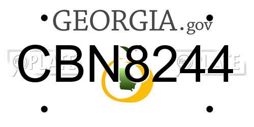 CBN8244 Georgia License Plate