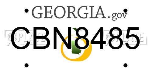 CBN8485 Georgia License Plate