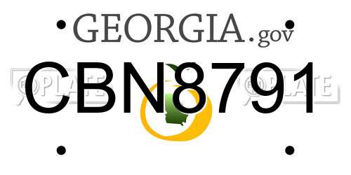 CBN8791 Georgia License Plate