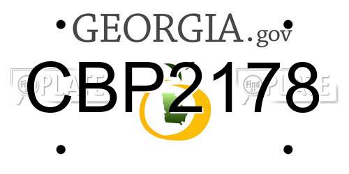 CBP2178 Georgia License Plate